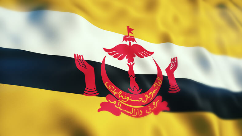 BRUNEI Flag