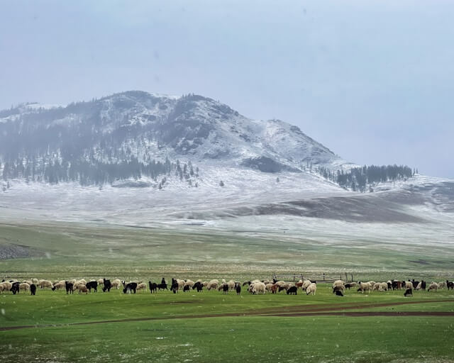 Mongolia landmark