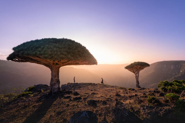Yemen landmark